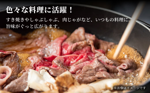 飛騨牛 4等級以上 切り落とし 560g 牛肉 牛肉 和牛 肉 切落し ブランド牛 A4 A5 国産 切り落し