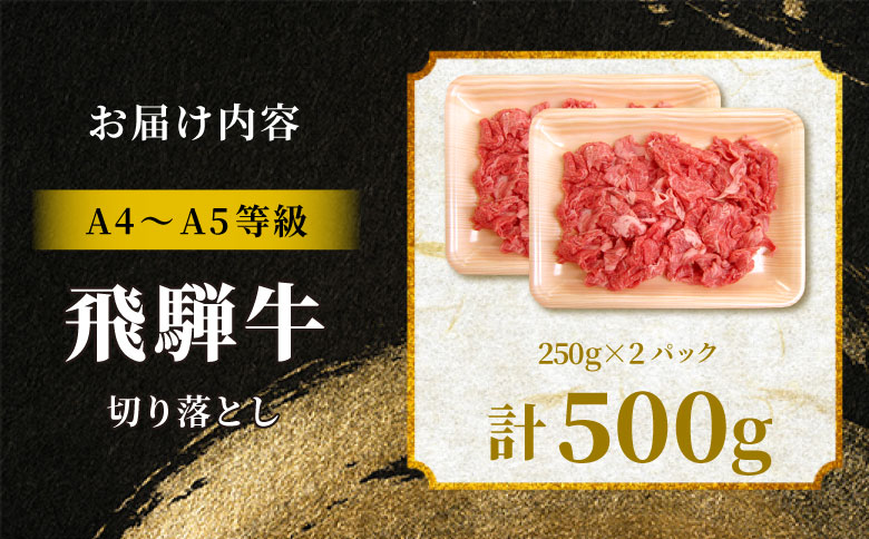 飛騨牛 切り落とし 500g（250g×2P） A5 A4 国産 牛 黒毛和牛 和牛 牛肉 切落し 切り落し 薄切り 訳あり 牛丼 すき焼き しゃぶしゃぶ 炒め物 東白川村 岐阜 飛騨 贅沢 霜降り ロース バラ もも ウデ 肉のひぐち