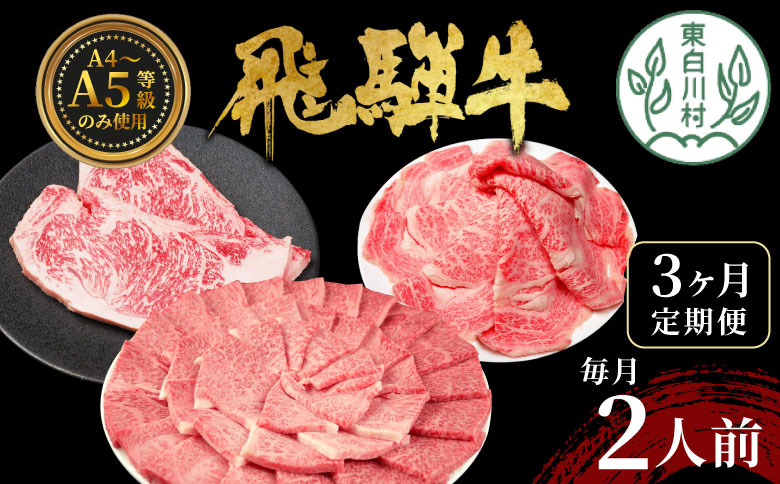 飛騨牛 定期便 全3回 計1.1kg 2人前 すき焼き しゃぶしゃぶ ステーキ 焼肉 BBQ ロース カタロース ロースステーキ モモ カタ 贅沢 贈り物 3ヶ月 定期 おすすめ 選べる 人気 飛騨 ブランド牛 肉のひぐち