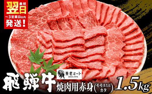 【最短発送】 贅沢！ 飛騨牛 モモまたはカタ 焼肉用 1.5kg 6〜10人前 牛肉 和牛 肉 焼肉 BBQ 霜降り カルビ 赤身 モモ カタ 東白川村 岐阜 養老ミート