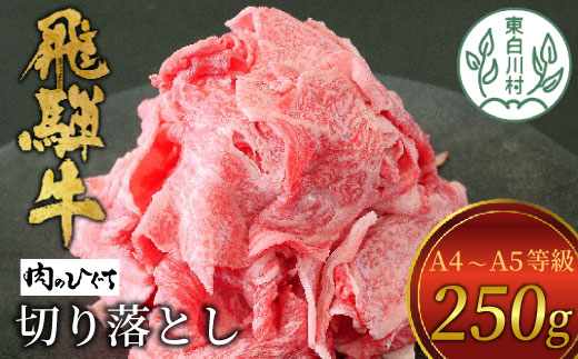 【2月発送】飛騨牛 切り落とし 250g A5 A4 国産 牛 冷凍 お試し 和牛 牛肉 切落し 切り落し 訳あり 牛丼 すき焼き しゃぶしゃぶ 東白川村 岐阜 飛騨 贅沢 霜降り ロース バラ もも ウデ 肉のひぐち