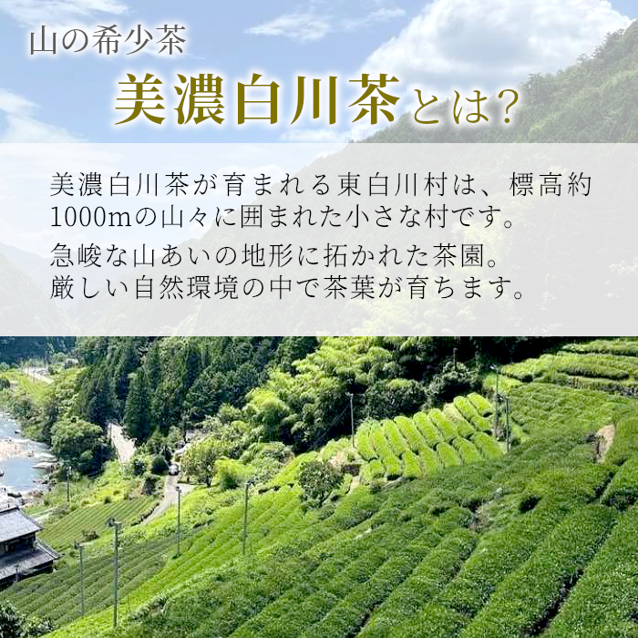 茶師が丁寧に仕立てた 最高級 煎茶 「神賜-しんし-」80g 茶蔵園