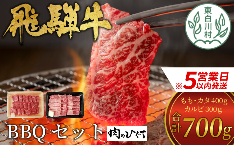 【最速発送】 飛騨牛 BBQセット (カルビ300g＋もも・カタ焼肉用400g) 計700g A5 A4 国産 牛 冷凍 和牛 牛肉 カルビ もも モモ カタ 肩 かた 豪華 ギフト 贈答  にく お肉 肉 東白川村 岐阜 飛騨 贅沢 霜降り 赤身 肉のひぐち