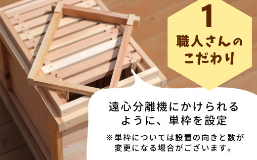 東白川村 西洋ミツバチ用飼育箱 西洋 ミツバチ 飼育 巣箱 蜂蜜 蜂 養蜂 ハチミツ 自由研究