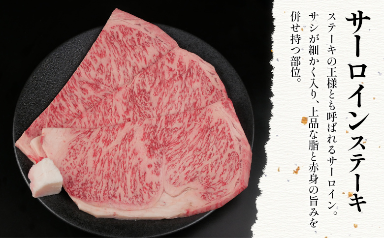 é£éššç ãµãŒãã€ã³ã¹ããŒã 2æ 330g ã¹ããŒããœãŒã¹ä»ã A5 A4 åœç£ ç å·å åç çè ãµãŒãã€ã³ ã¹ããŒã è±ªè¯ ã®ãã èŽç ã«ã ãè è æ±çœå·æ å²é é£éšš èŽ
æ²¢ ééã 赀身 èã®ã²ãã¡