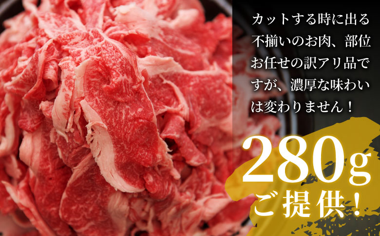 飛騨牛 切り落とし 280g  牛肉 和牛 肉 お肉 切落し 不揃い にく 切り落し 東白川村 ブランド牛 国産 人気 おすすめ 薄切り きりおとし 岐阜 すき焼き お取り寄せ 冷凍 養老ミート