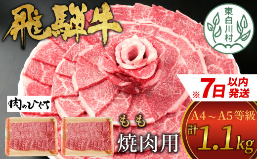 【7営業日以内発送】 飛騨牛 もも 焼肉用 1.1kg 550g×2 A5 A4 国産 牛 冷凍 和牛 牛肉 もも肉 モモ 焼き肉 やきにく 赤身 ギフト 贈答 おすすめ BBQ バーベキュー キャンプ にく お肉 肉 東白川村 岐阜 飛騨 贅沢 霜降り 肉のひぐち