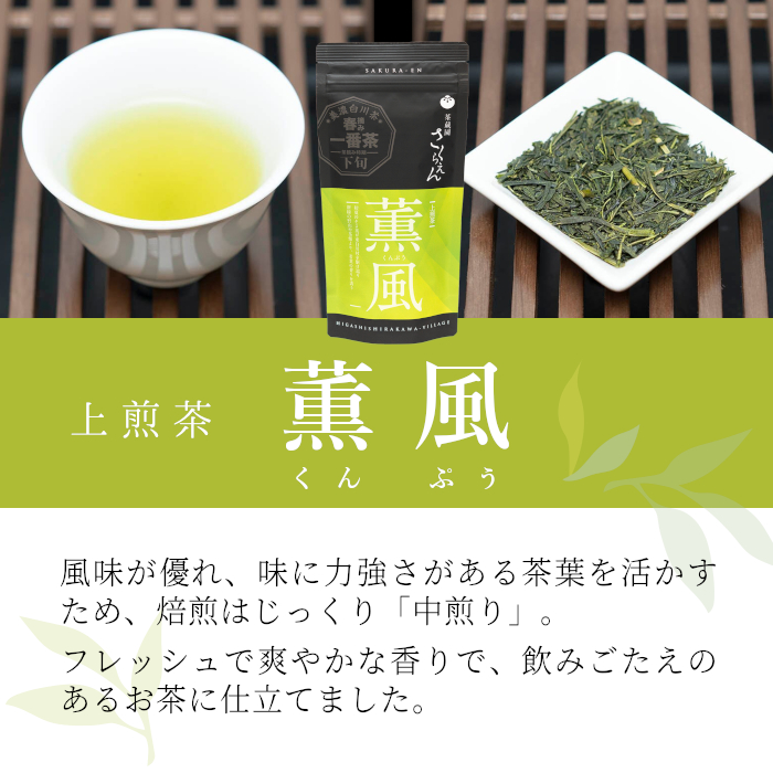 茶蔵園 春摘み煎茶セット (5袋入) 日本茶 煎茶 お茶 茶 白川茶 美濃白川茶 高級煎茶