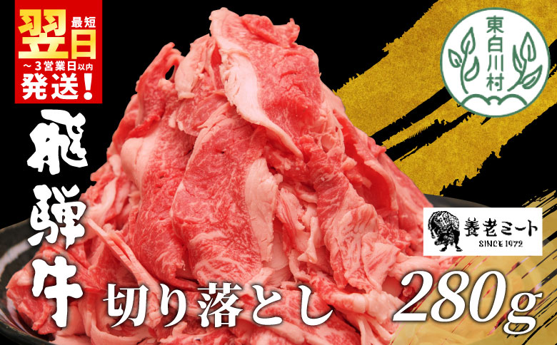 飛騨牛 切り落とし 280g  牛肉 和牛 肉 お肉 切落し 不揃い にく 切り落し 東白川村 ブランド牛 国産 人気 おすすめ 薄切り きりおとし 岐阜 すき焼き お取り寄せ 冷凍 養老ミート