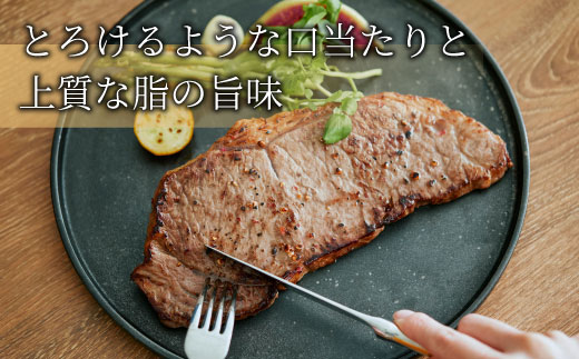 飛騨牛 ステーキ食べ比べセット 計4枚 700g ヒレステーキ ロースステーキ 牛肉 黒毛和牛 和牛 国産 牛 肉 ステーキ ヒレ フィレ ロース 最高級部位 赤身 霜降り お祝い 贈答 ギフト ふるさと納税 岐阜 贅沢 養老ミート