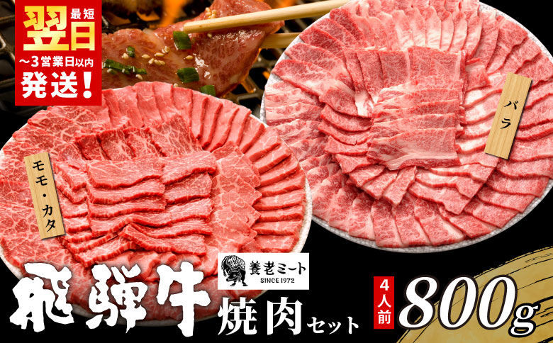 【最短発送】 贅沢！ 飛騨牛 焼肉セット 計800g 4人前 牛肉 和牛 肉 焼肉 BBQ 霜降り カルビ 赤身 モモ カタ 東白川村 岐阜 養老ミート