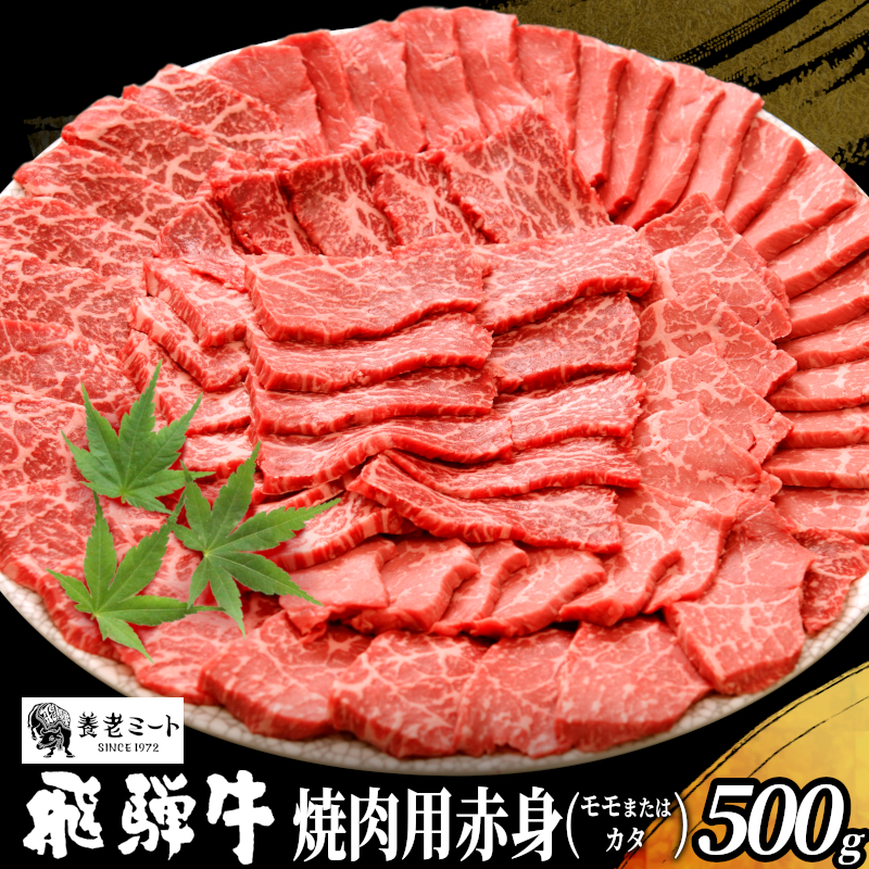 贅沢！ 飛騨牛 モモまたはカタ 焼肉用 500g 2〜3人前 牛肉 和牛 肉 焼肉 BBQ 霜降り カルビ 赤身 モモ カタ 東白川村 岐阜 養老ミート