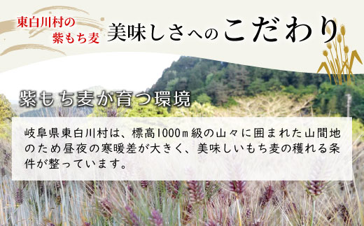 紫もち麦 150g×2袋 300g ダイシモチ もち麦 雑穀 米 こめ 食物繊維 お米 大麦