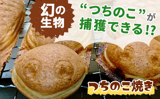 【冷蔵】道の駅の大人気名物！つちのこ村の つちのこ焼き 20匹 (あんこ カスタード) つぶあん たい焼き 和菓子 冷蔵 つぶあん 粒あん カスタード 個包装 東白川村 ツチノコ つちのこ