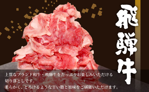 飛騨牛 切り落とし 600g 牛肉 和牛 肉 お肉 切落し 不揃い にく 切り落し ブランド牛 国産 