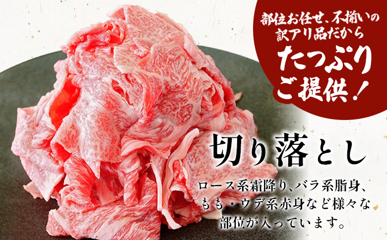飛騨牛 切り落とし 250g A5 A4 国産 牛 黒毛和牛 和牛 牛肉 切落し 切り落し 薄切り 訳あり 牛丼 すき焼き しゃぶしゃぶ 炒め物 東白川村 岐阜 飛騨 贅沢 霜降り ロース バラ もも ウデ 肉のひぐち