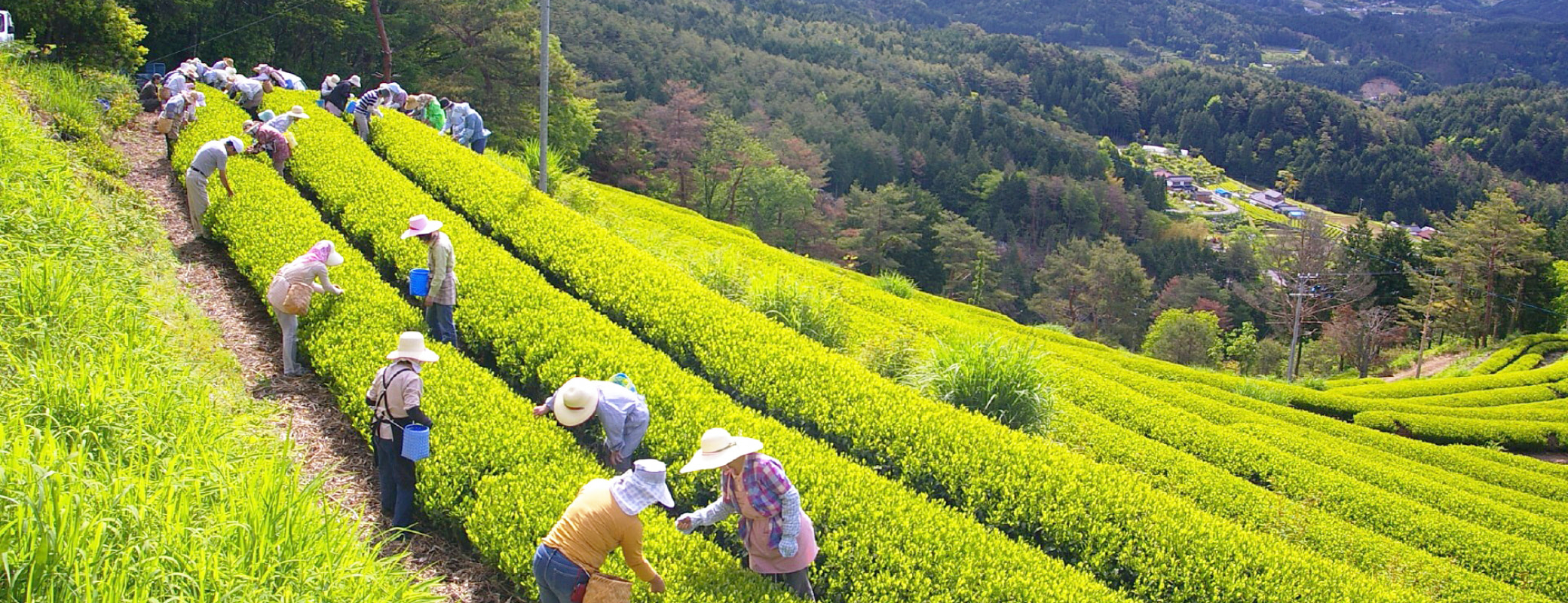 岐阜県東白川村