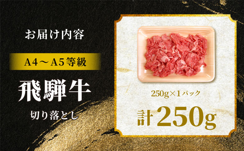 飛騨牛 切り落とし 250g A5 A4 国産 牛 黒毛和牛 和牛 牛肉 切落し 切り落し 薄切り 訳あり 牛丼 すき焼き しゃぶしゃぶ 炒め物 東白川村 岐阜 飛騨 贅沢 霜降り ロース バラ もも ウデ 肉のひぐち