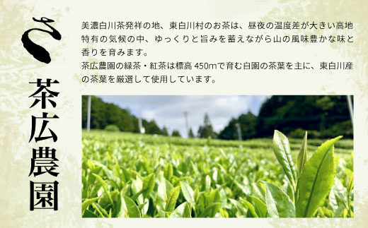 和紅茶ティーバッグ べにふうき  8個  東白川村産 岐阜県産 特選 和紅茶 紅茶 ティーバッグ お茶 ティーバック ティーパック ホット アイス おためし