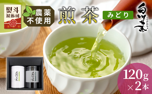 農薬不使用!煎茶 ギフト NO.16(みどり120g×2 計240g) 常磐園 みどり 日本茶 緑茶 煎茶 茶葉 お茶 白川茶 美濃白川茶 一番茶 春摘み 大容量 岐阜県 東白川村 お取り寄せ 贈答用 プレゼント 母の日 ギフトセット 農薬不使用栽培茶