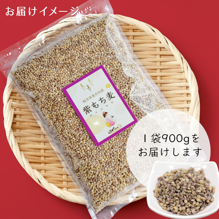 紫もち麦 900g ダイシモチ もち麦 雑穀 米 こめ 食物繊維 お米 大麦