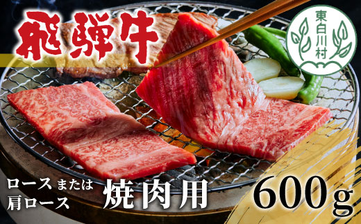 飛騨牛 ロースまたは肩ロース 焼肉用 600g 牛肉 和牛 肉 焼肉 BBQ カタロース 東白川村 岐阜 贅沢 霜降り 養老ミート