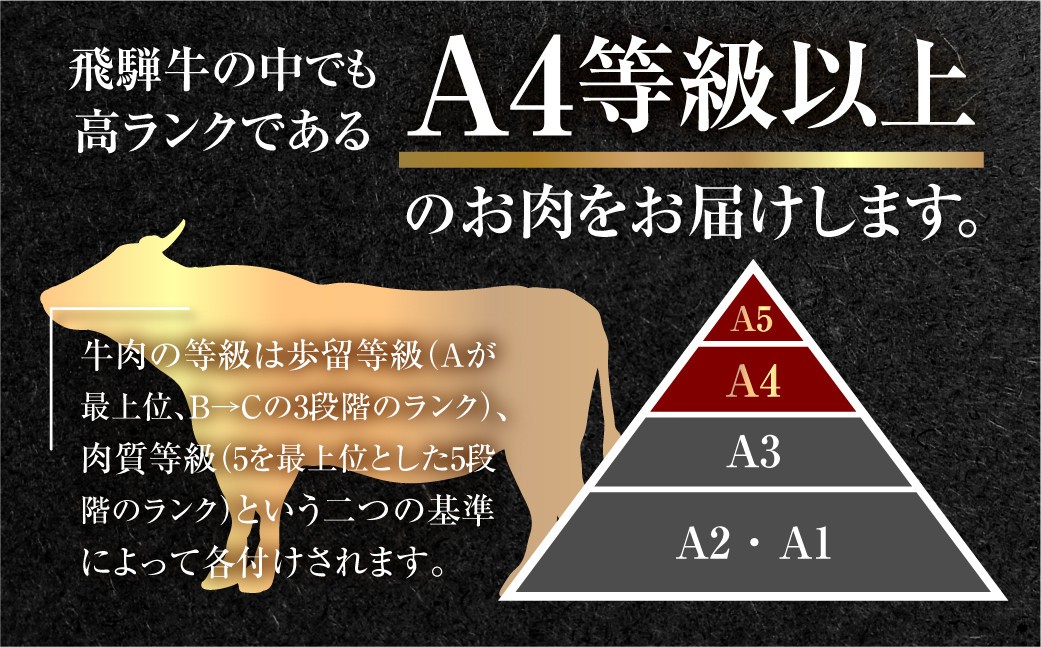 飛騨牛 焼肉用 上カルビ 300g 焼き肉 焼肉 お中元 お歳暮 霜降り 肉 牛肉 霜降り肉 JA 飛騨 BBQ バーベキュー お歳暮 ギフト 和牛 12000円 [S445] 