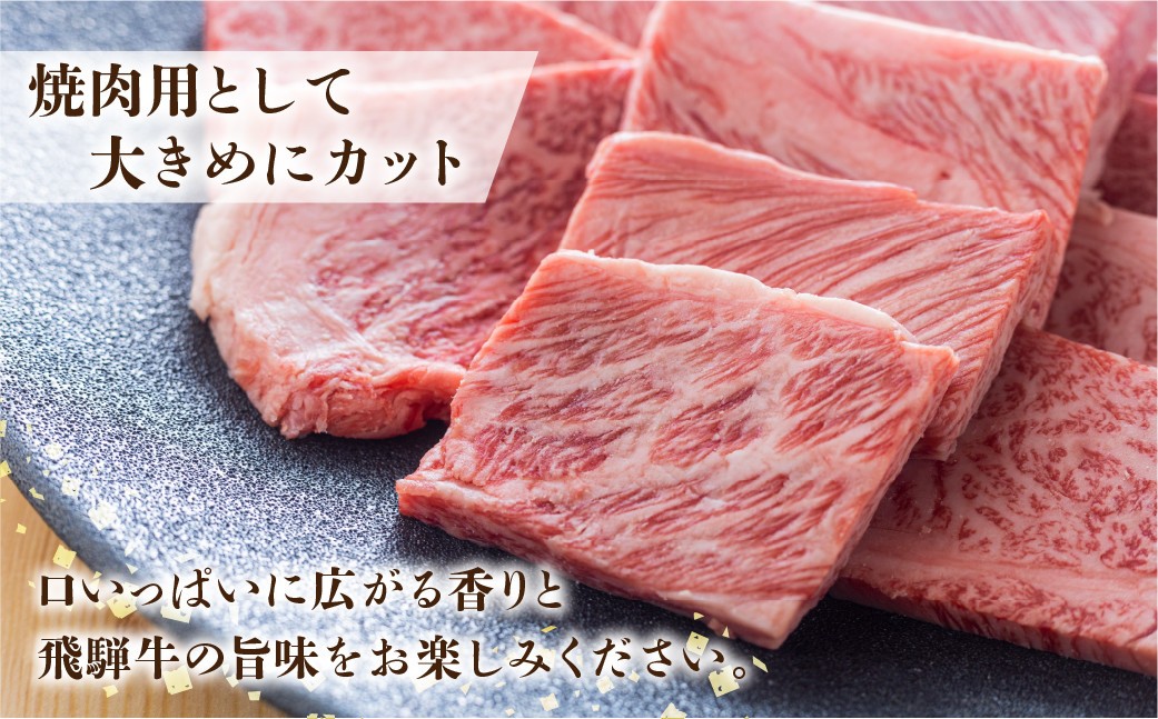  飛騨牛 A5等級 焼肉用 霜降り肉 700g 大判 訳あり 焼き肉 BBQ 肉 牛肉 お肉 和牛 冷凍 霜降り 匠家 25000円 [S427] 