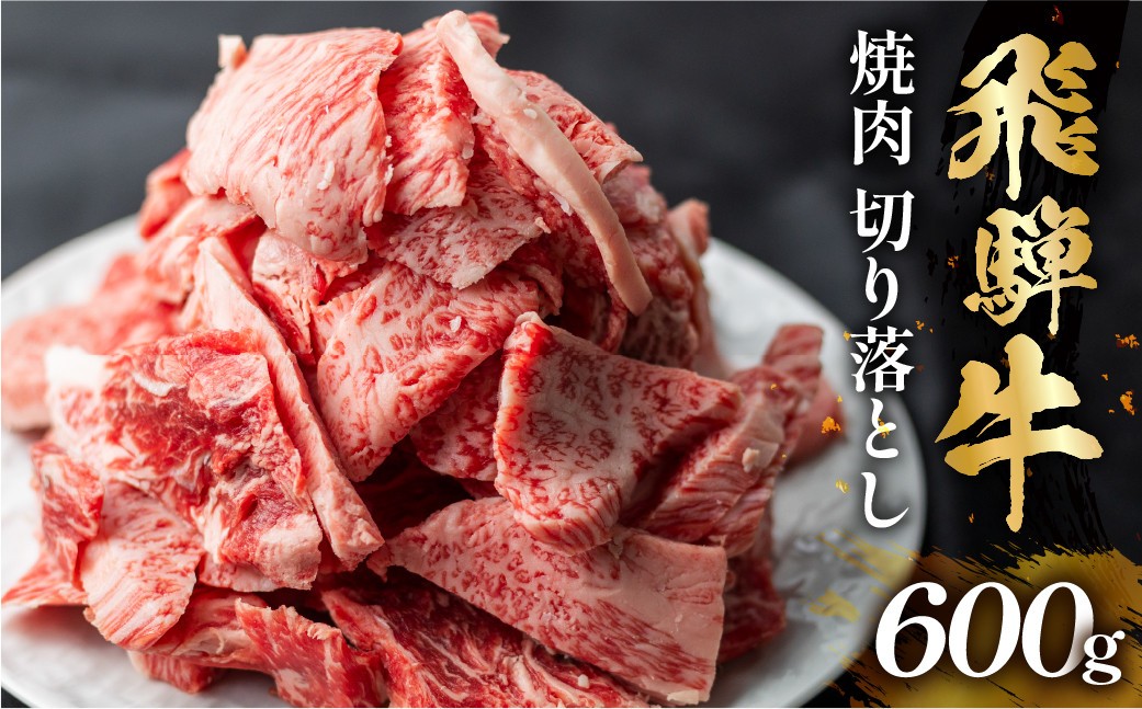 飛騨牛 焼肉 切り落とし 600g 訳あり 15000円 [S767]  切落し 牛肉 肉 バーベキュー BBQ セット 和牛 焼肉 部位おまかせ ごちそう 贅沢飛騨牛 人気 おすすめ アウトドア  国産 冷凍