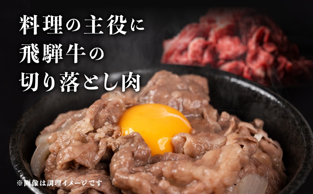 飛騨牛切り落し 1kg (250g×4p) 牛肉 和牛 国産 すきやき 肉じゃが カレー ビーフシチュー 肉野菜炒め だるまミート 26000円 [S933] 