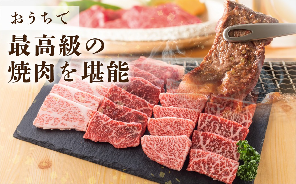  飛騨牛 A5等級 焼肉用 霜降り肉 700g 大判 訳あり 焼き肉 BBQ 肉 牛肉 お肉 和牛 冷凍 霜降り 匠家 25000円 [S427] 