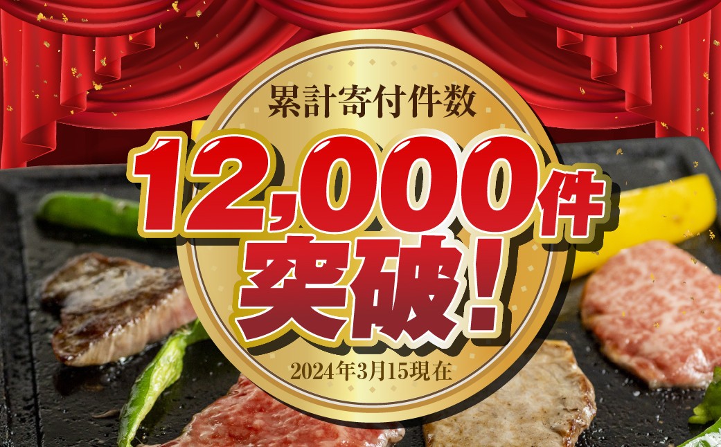 【人気急上昇】牛肉 訳あり 飛騨牛 焼肉用 切り落とし肉 1kg 25000円 訳アリ 焼き肉用 切り落とし 切落し 牛肉 肉 バーベキュー BBQ セット 和牛 焼肉 部位おまかせ ごちそう 贅沢飛騨牛  JA ひだ 大容量 人気 おすすめ アウトドア  国産 冷凍  駆け込み前の お申込なら すぐ届く すぐ届きやすい [S201] 