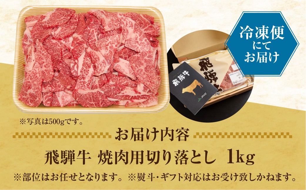【人気急上昇】牛肉 訳あり 飛騨牛 焼肉用 切り落とし肉 1kg 25000円 訳アリ 焼き肉用 切り落とし 切落し 牛肉 肉 バーベキュー BBQ セット 和牛 焼肉 部位おまかせ ごちそう 贅沢飛騨牛  JA ひだ 大容量 人気 おすすめ アウトドア  国産 冷凍  駆け込み前の お申込なら すぐ届く すぐ届きやすい [S201] 
