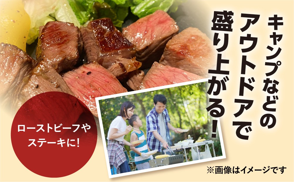 【人気急上昇】牛肉 飛騨牛 ブロック肉 1kg (霜降り肉 赤身肉 500g×2 ) 訳あり 訳アリ 部位お任せ 不揃い ローストビーフ  牛肉 ブロック セット 真空パック 黒毛和牛 肉　肉厚　大容量  バーベキュー BBQ キャンプ 焼き肉 焼肉 ごちそう JA 30000円 駆け込み前の お申込なら すぐ届く すぐ届きやすい [S090] 