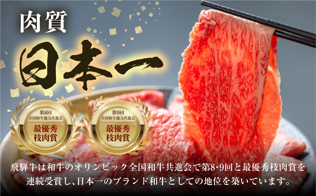 飛騨牛 すき焼き用 霜降り肉 500g JAひだ すき焼き お中元 お歳暮 敬老の日 ギフト[S101] 