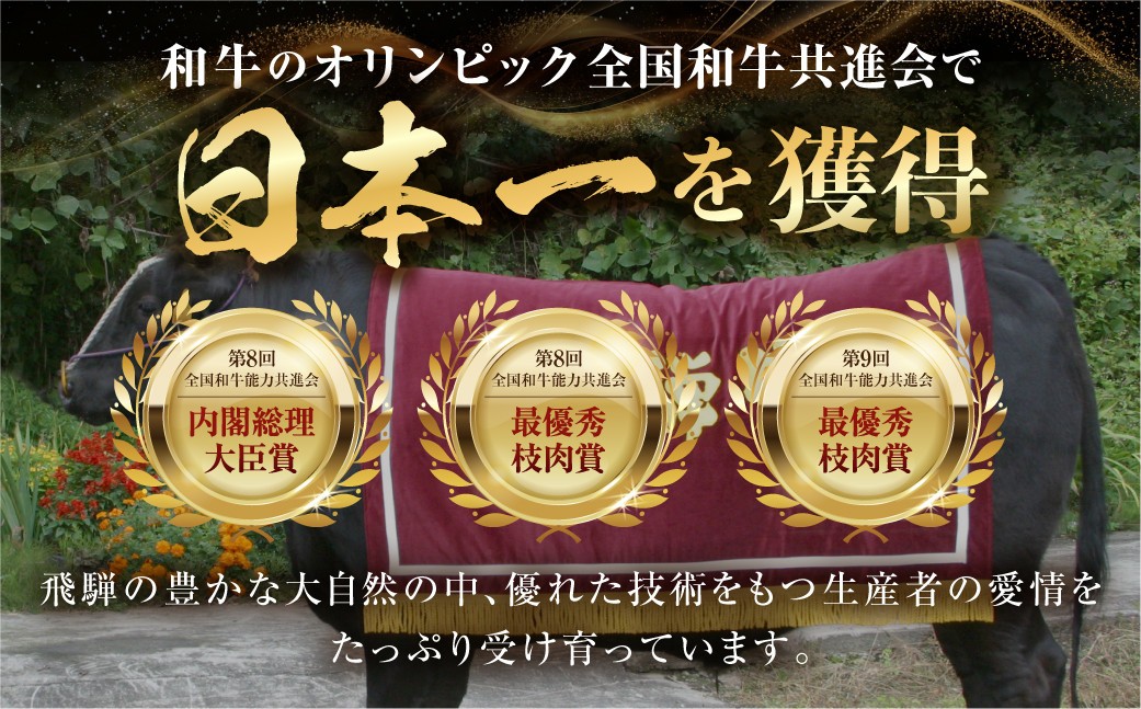 飛騨牛 焼肉用 上カルビ 300g 焼き肉 焼肉 お中元 お歳暮 霜降り 肉 牛肉 霜降り肉 JA 飛騨 BBQ バーベキュー お歳暮 ギフト 和牛 12000円 [S445] 