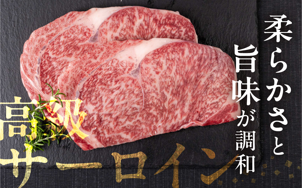 飛騨牛 サーロイン ステーキ 400g(200g × 2枚) 飛騨牛 A4等級 A5等級 黒毛和牛 高級 霜降り 和牛 肉 お肉 牛肉 料理 おすすめ 美味い 赤身 特別 記念 バーベキュー BBQ 駿河屋 岐阜県 白川村 15000円 [S973]