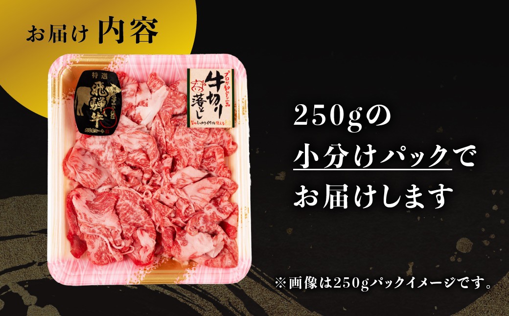 飛騨牛切り落し 1kg (250g×4p) 牛肉 和牛 国産 すきやき 肉じゃが カレー ビーフシチュー 肉野菜炒め だるまミート 26000円 [S933] 