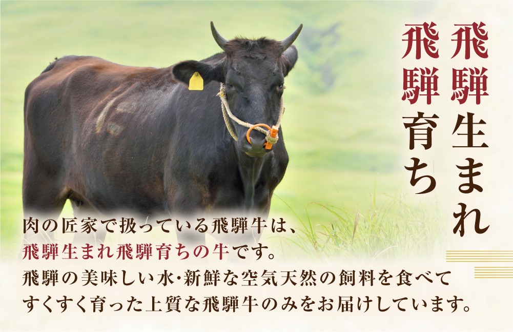  飛騨牛 A5等級 焼肉用 霜降り肉 700g 大判 訳あり 焼き肉 BBQ 肉 牛肉 お肉 和牛 冷凍 霜降り 匠家 25000円 [S427] 