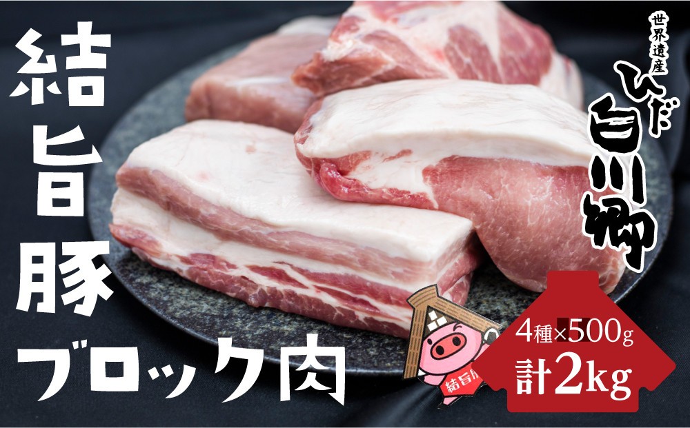 白川郷 結旨豚 ブロック肉 4種セット 計2kg 豚肉 ぶた肉 国産肉 抗生物質 合成抗菌剤不使用 真空パック かたまり肉 肉 バーベキュー BBQ キャンプ ステーキ ロース 肩ロース バラ肉 もも肉 食べ比べ [S225]