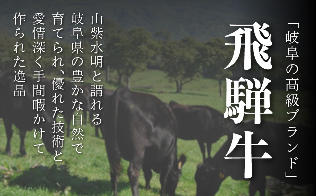飛騨牛切り落し 1kg (250g×4p) 牛肉 和牛 国産 すきやき 肉じゃが カレー ビーフシチュー 肉野菜炒め だるまミート 26000円 [S933] 