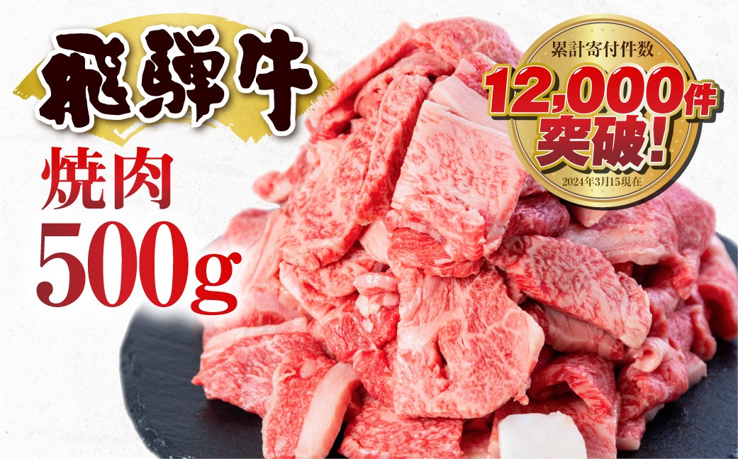 【訳あり】飛騨牛 焼肉用 切り落とし肉 500g 14000円 焼き肉用 焼肉 切り落とし 切落し 牛肉 肉 バーベキュー BBQ セット 和牛 焼肉 部位おまかせ ごちそう 贅沢飛騨牛  JA ひだ 大容量 人気 おすすめ アウトドア  国産 冷凍 [S811]