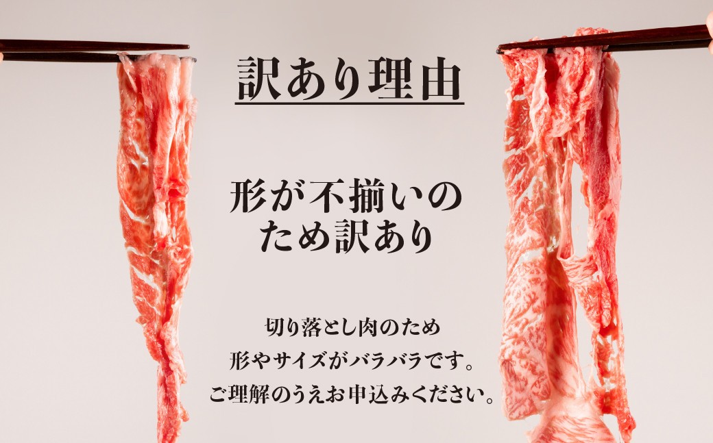 飛騨牛切り落し 1kg (250g×4p) 牛肉 和牛 国産 すきやき 肉じゃが カレー ビーフシチュー 肉野菜炒め だるまミート 26000円 [S933] 
