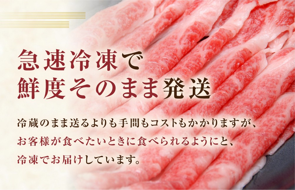  飛騨牛 A5等級 焼肉用 霜降り肉 700g 大判 訳あり 焼き肉 BBQ 肉 牛肉 お肉 和牛 冷凍 霜降り 匠家 25000円 [S427] 