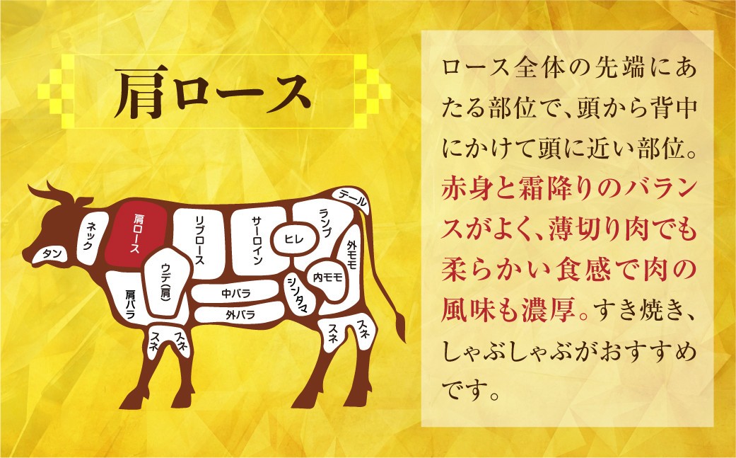飛騨牛 すき焼き用 霜降り肉 500g JAひだ すき焼き お中元 お歳暮 敬老の日 ギフト[S101] 