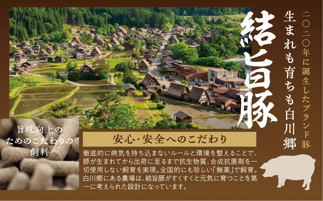 訳あり 結旨豚 豚まん 5個入り 国産豚使用 肉まん 豚まんじゅう ぶたまん 中華まん ゆいうまぶた 簡易包装 白川村 結旨豚 ブランド豚 おやつ 総菜 簡単 6000円 [S915] 