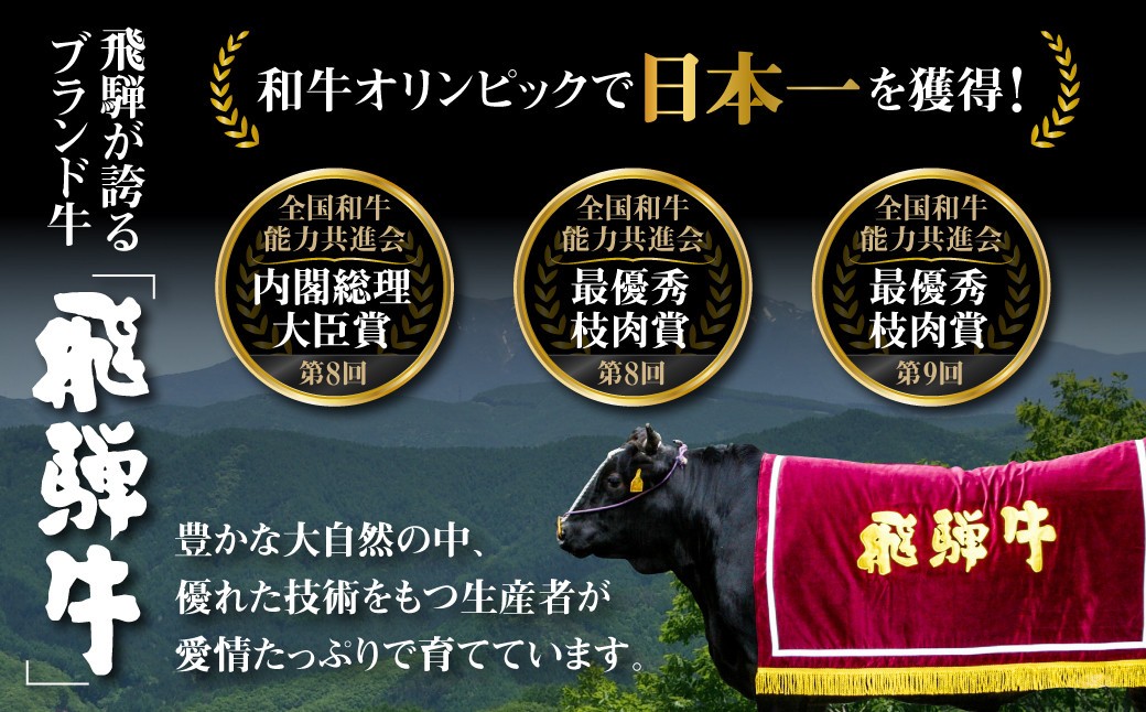  白川郷 飛騨牛 もも ステーキ 180g×2枚 牛肉 国産 もも肉 A4等級以上 A4 A5 等級 高山米穀 岐阜県 白川村 贅沢  赤身肉 冷凍 [S333] 