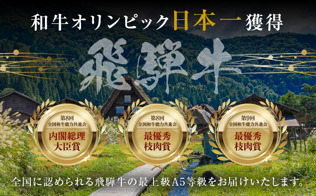 飛騨牛 サーロイン ステーキ 400g(200g × 2枚) 飛騨牛 A4等級 A5等級 黒毛和牛 高級 霜降り 和牛 肉 お肉 牛肉 料理 おすすめ 美味い 赤身 特別 記念 バーベキュー BBQ 駿河屋 岐阜県 白川村 15000円 [S973]