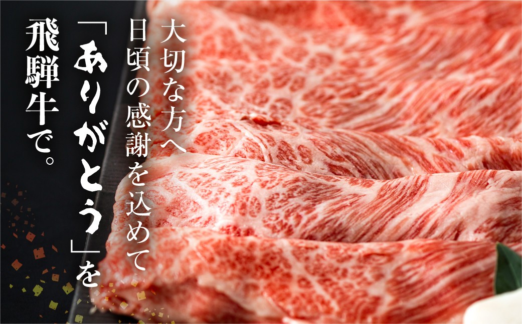 飛騨牛 すき焼き用 霜降り肉 500g JAひだ すき焼き お中元 お歳暮 敬老の日 ギフト[S101] 