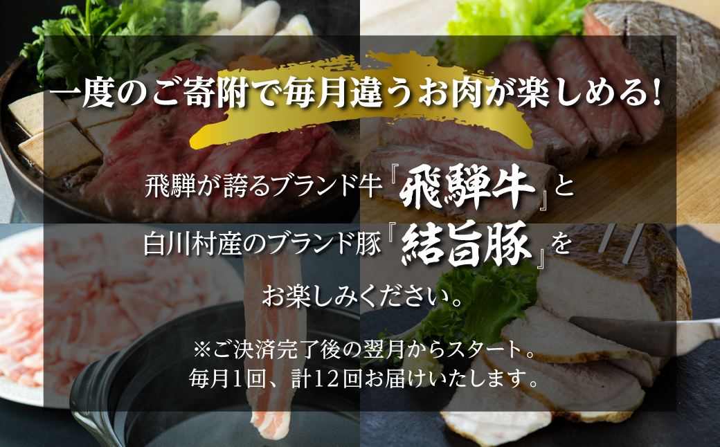 白川郷 まるごと定期便 全12回 お届け 飛騨牛&結旨豚 肉づくし ローススライス 結旨豚 ブロック肉 飛騨牛ブロック肉 焼肉用 もも肉 切り落とし ステーキ しゃぶしゃぶ すき焼き 食べ比べ 200000円 20万円 定期便 12か月 飛騨牛 豚肉 国産 牛 豚 焼肉 [S361]